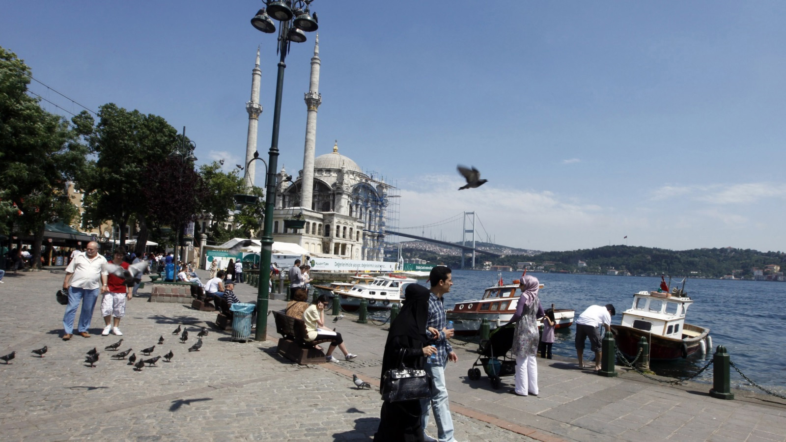 1973B73D-D068-4D79-9866-495F9728D16D.jpeg