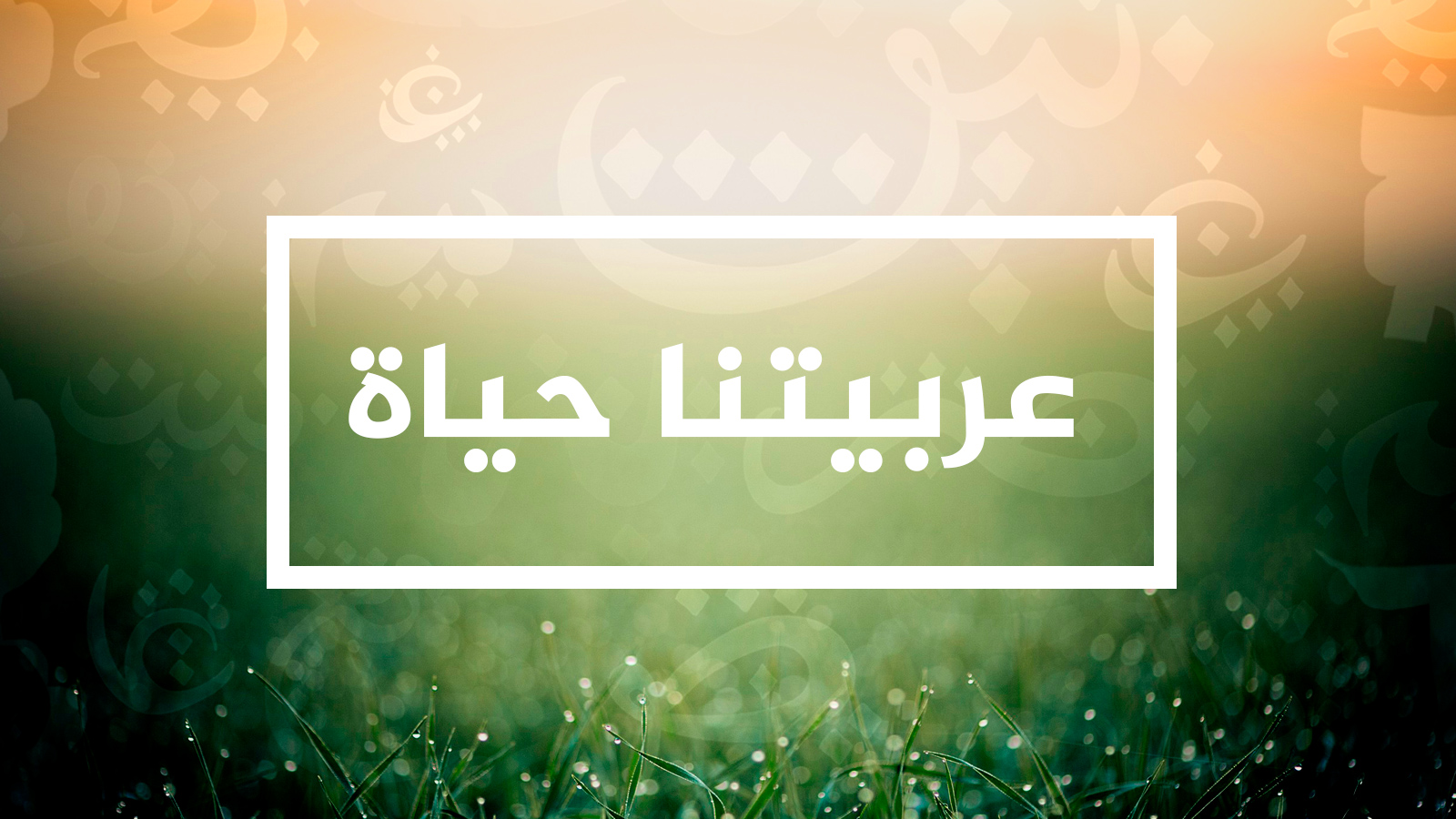 4D04D282-1BE0-41B6-A15E-2E694ADBC762.jpeg