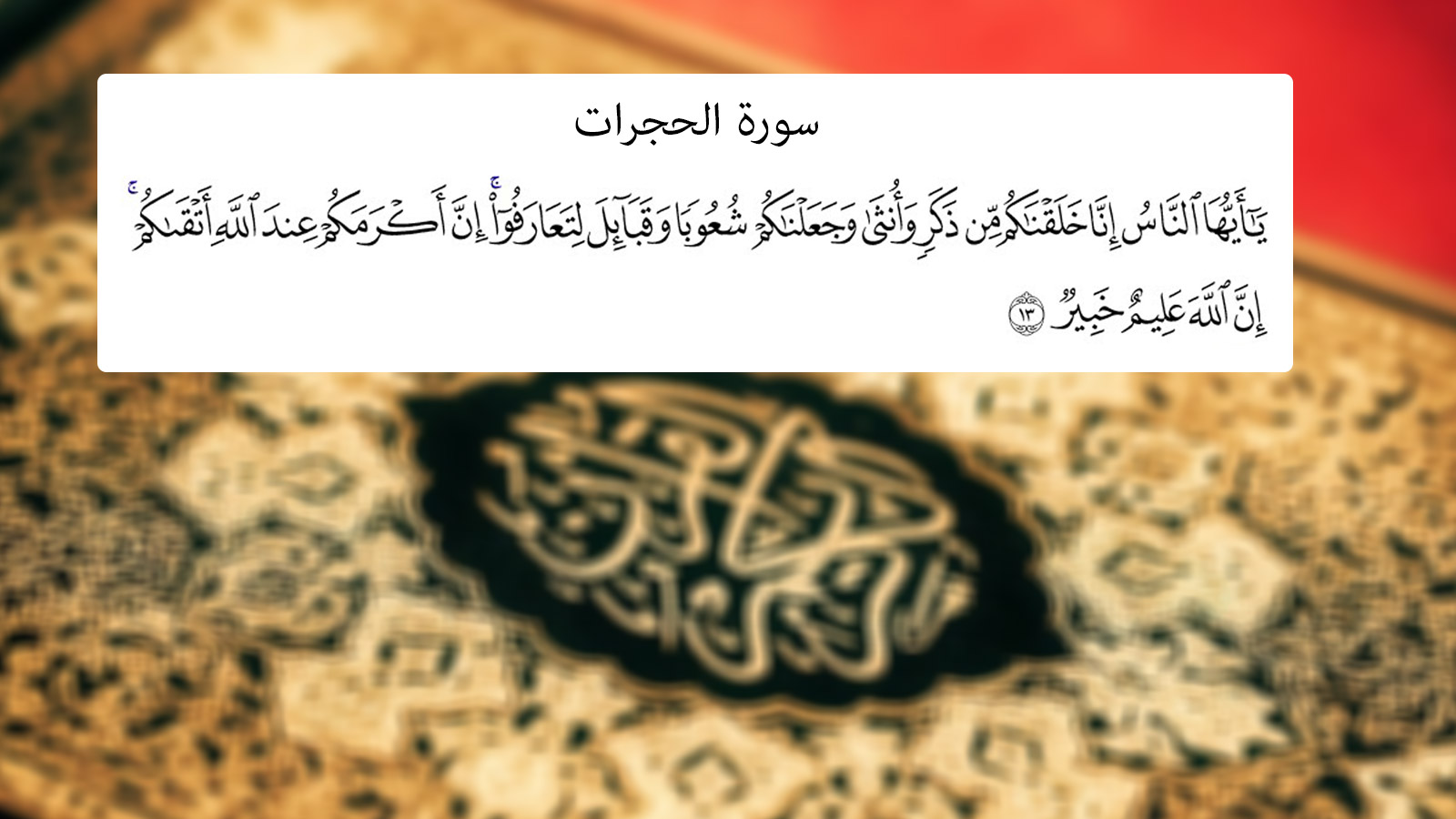 C112EF2C-4D4B-4E43-9648-2F59CCB8C624.jpeg